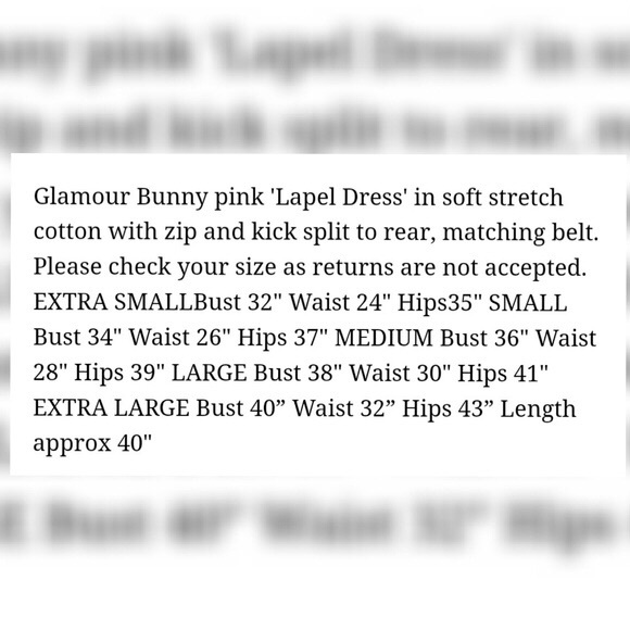 NWOT Glamour Bunny Lapel Dress in Black - Picture 4 of 4